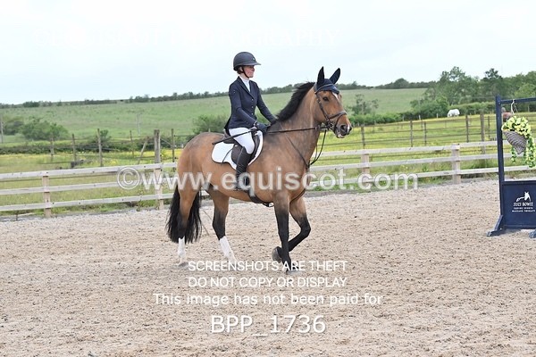 BPP_1736 - CLASS 14 SAT Senior Newcomers/ 1.10m Open
