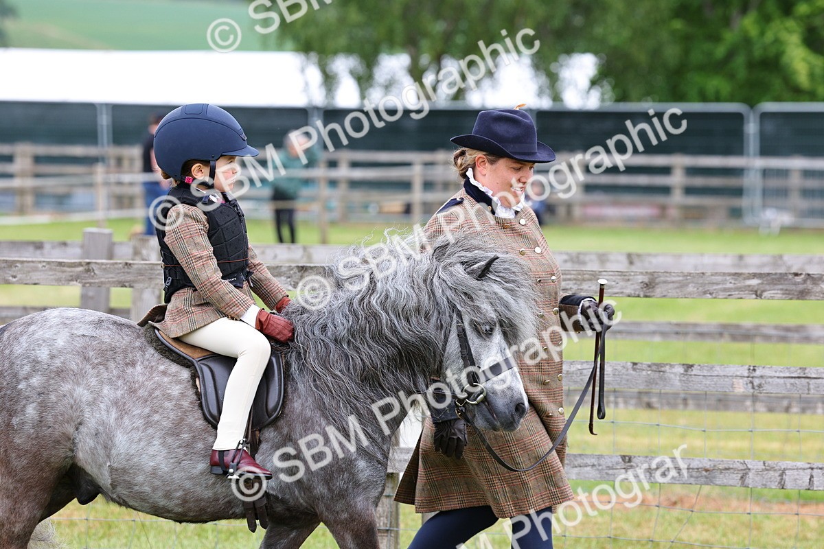 SBM_08081 - Class 42-43 - LIHS BSPS Heritage Working Sports Pony
