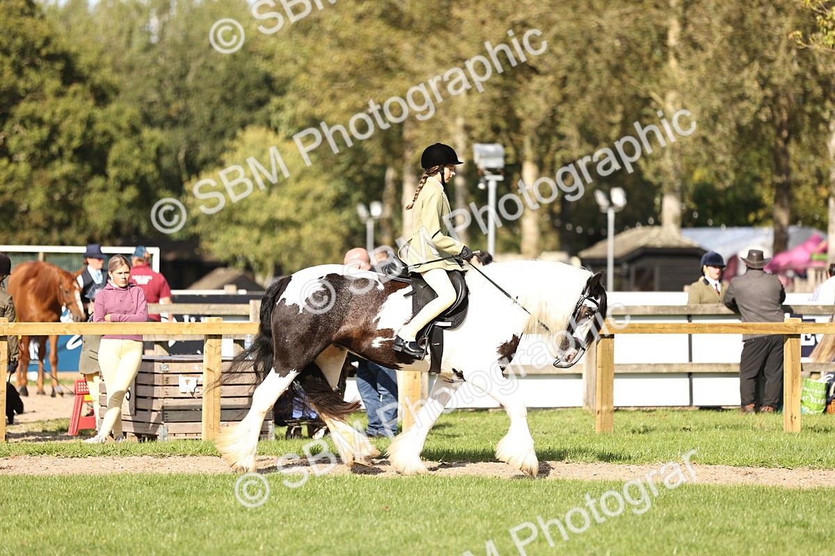 SBM_26330 - S6 - Novice & Newcomers Ridden Horse