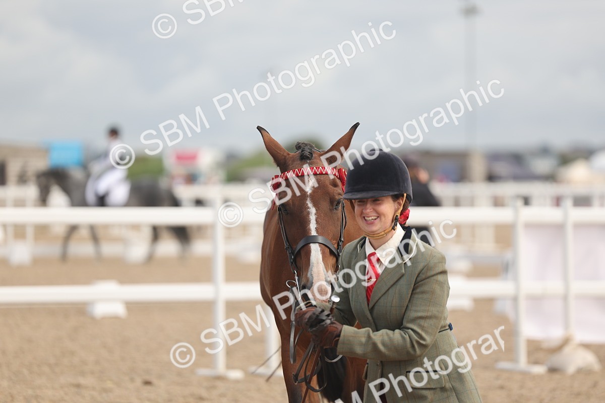 SBM_04485 - Class 18 - Handsomest Gelding (IH or Ridden)