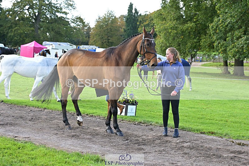 241023-131255-00138 - 008-Charlie.Piper-ZADOK.D