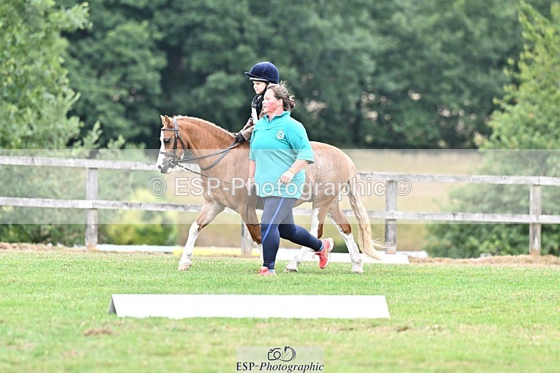 250820A-101645-02525 - Start to 11am