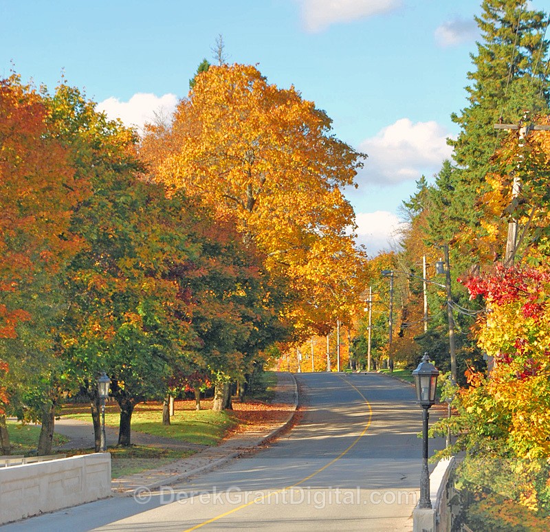 New Brunswick Autumn Foliage  - Fall Foliage along Rothesay Road - Autumn Foliage