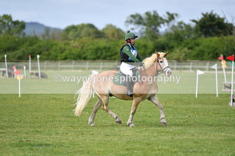 WJ5_2310 - Class 2 40cm