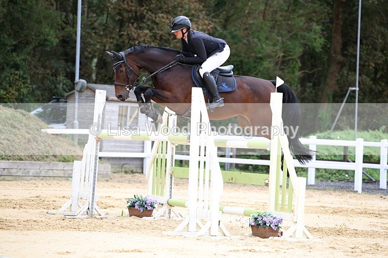 3E7A3400 - Class 9: Senior Foxhunter/1.20 open