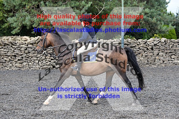 SNCP_0087 - AA Group