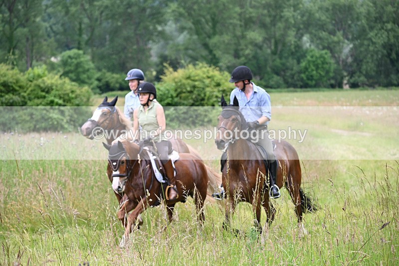 WJ6_8461 - Camera 1 Gallops