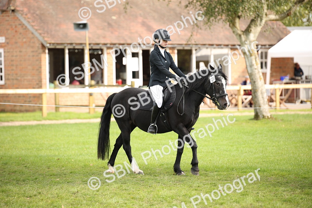 SBM_54238 - S27 - Mature Veteran - Ridden