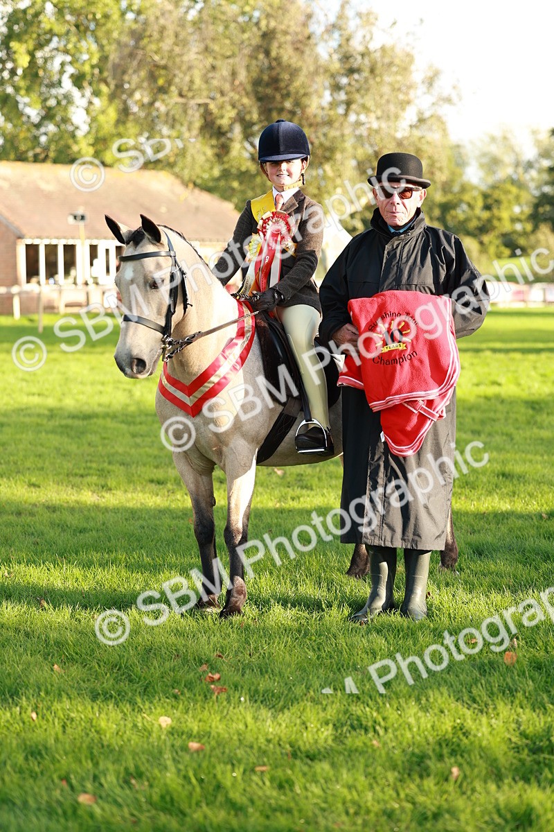 SBM_29336 - Novice & newcomer Supreme Championship