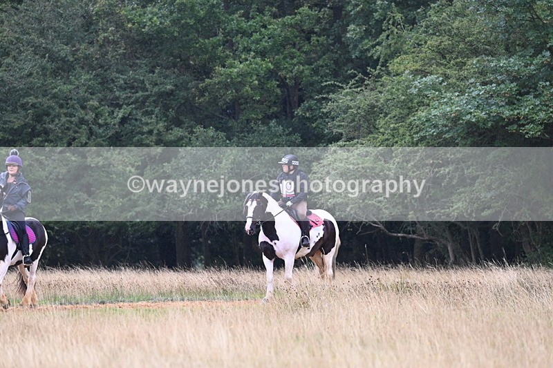 DSC_0667 - Time at Statue 10:58 to 11:53