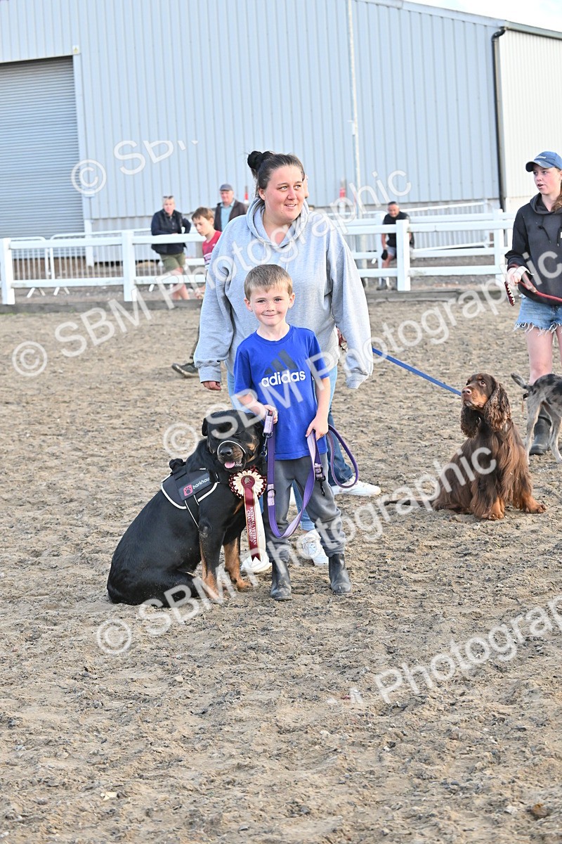 SBM_09637 - Lorry Dogs