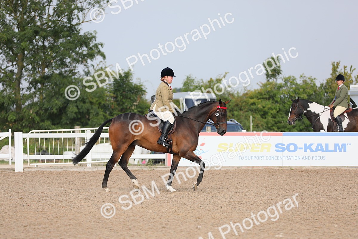 SBM_10659 - Class 303 Ridden Pure Bred Horse/Pony (excl M&M)