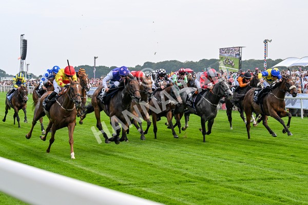 250725-Race 1-Pressures On - Quest For Fun-0217 - Race 1 5.30pm eventmasters.co.uk Handicap