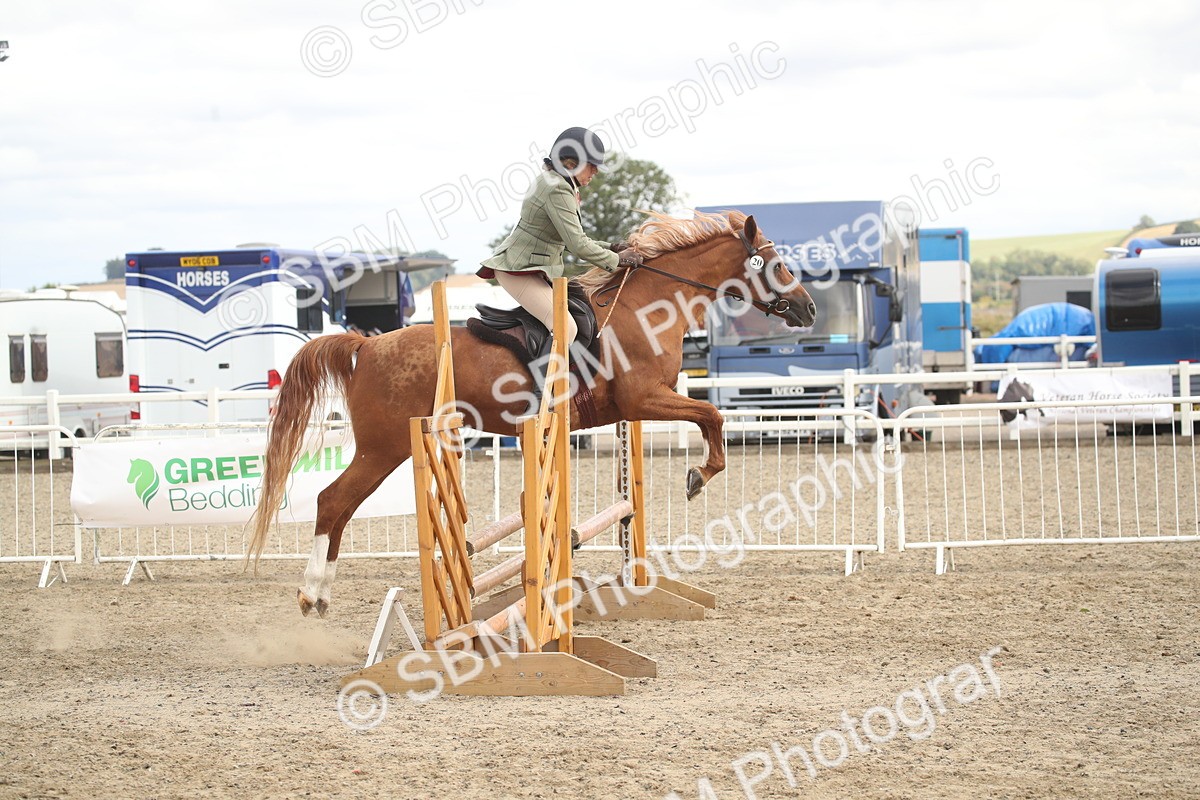 SBM_17853 - Class 508b - Working Veteran 70cm (20+)