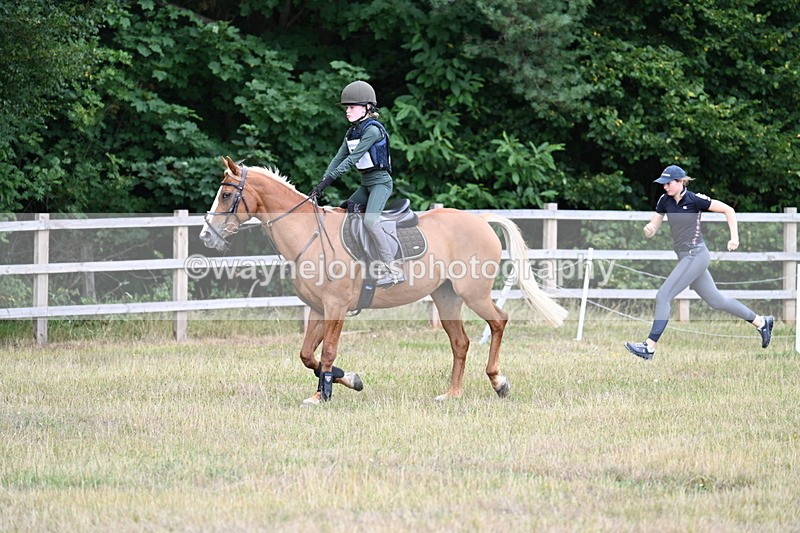 WJ7_1701 - 60cm Time 13:20 to 14:27