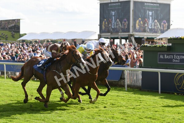 yr21052022r7-27 - Race 7: 5:15pm Reg Bond Always and Forever Stakes