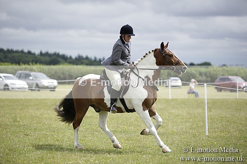 BVR160717-1924 - Ring 1 BVRC Show 16/07/17