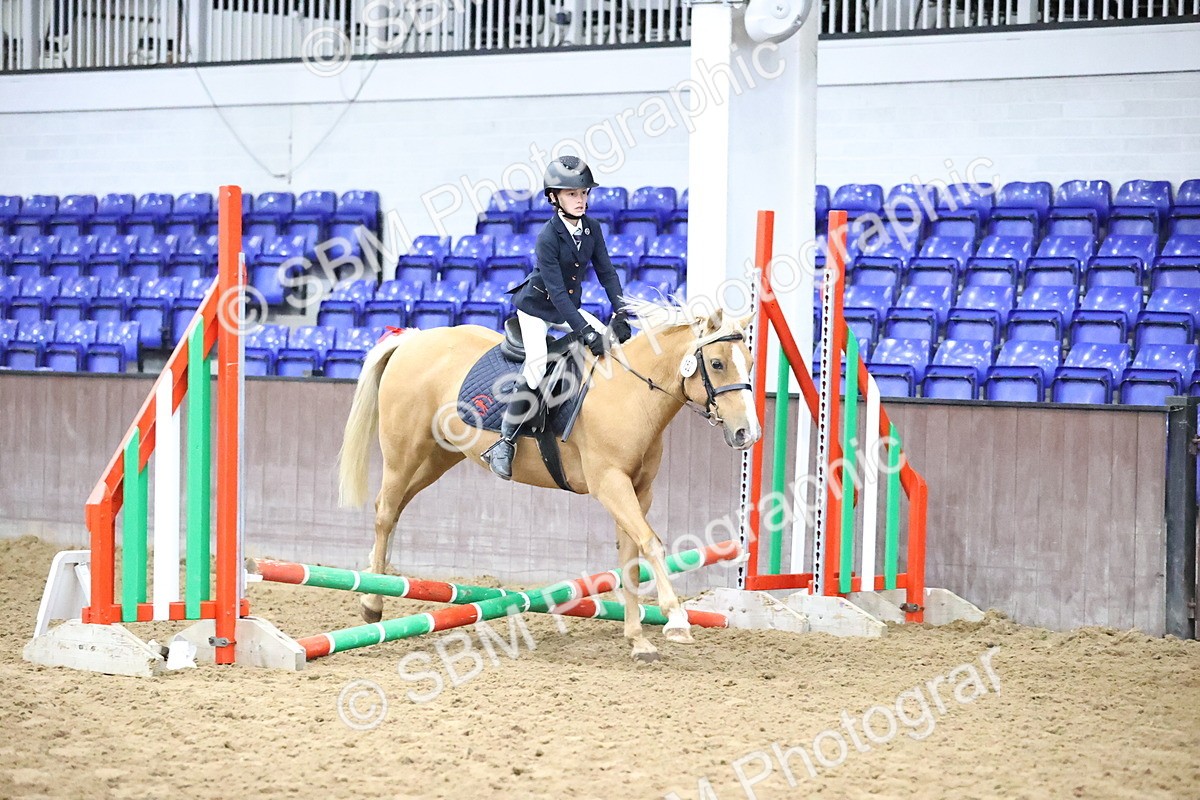 SBM_000108 - Class 2 - The Rug Lady 40cm Area 12 Championship Qualifier
