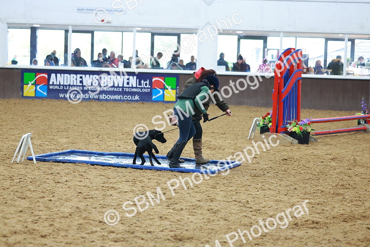 SBM_002426 - Class 3 - Horse & Hound (60cm)