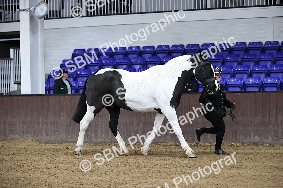 SBM_5249 - Class 32 - In Hand Cob Type