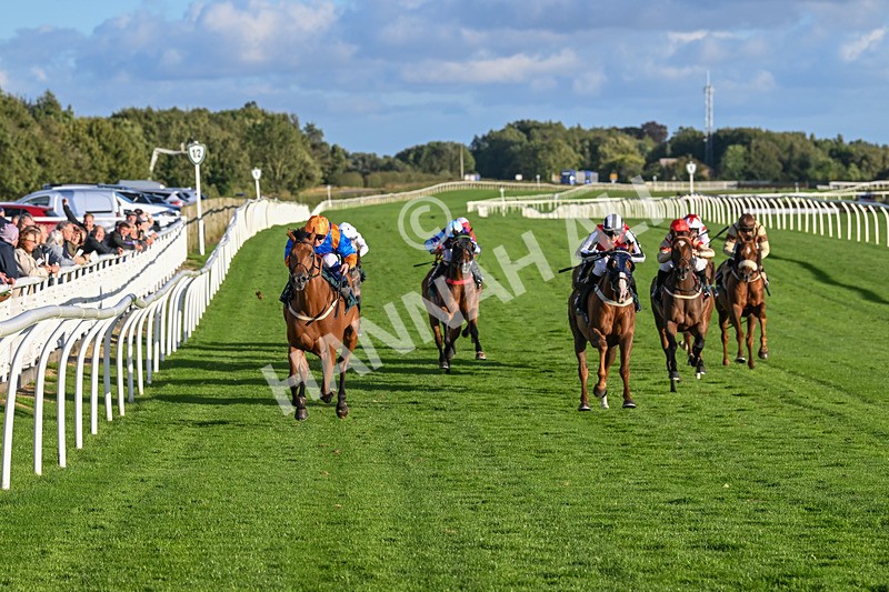 100924-Race 8-Homer Stokes-0852 - Race 8