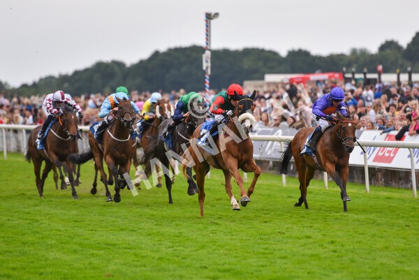 yr24072021r7-50 - Race 7 5.35pm The Sporting Life Fast Results Stakes