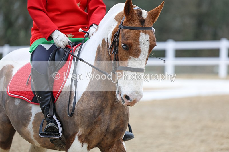 3E7A3853 - Class 2: Intro Section B