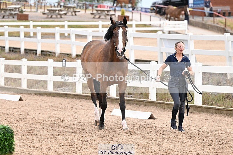 250716-151234-01772 - Trot Up 2.30 to 3.30