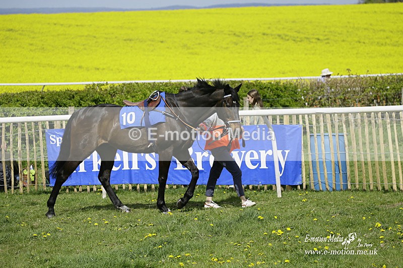 PtP 180422 1 - Old Berkshire PtP Lockinge 18/04/22