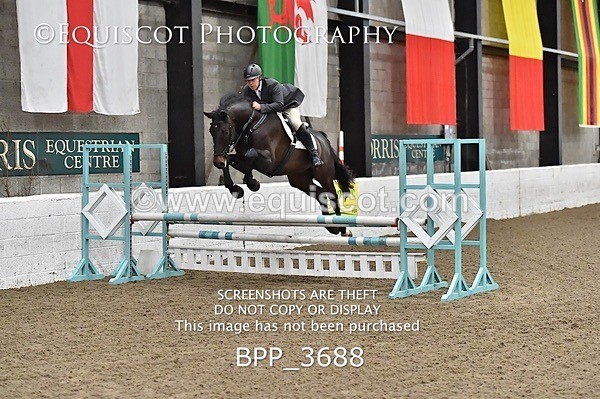 BPP_3688 - FRI CLASS 21 BR NOVICE/90CM