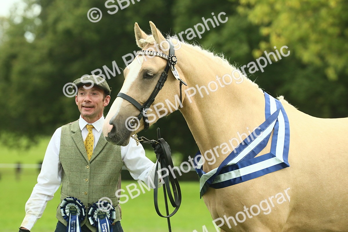 SBM_75201 - Super Supreme Championship