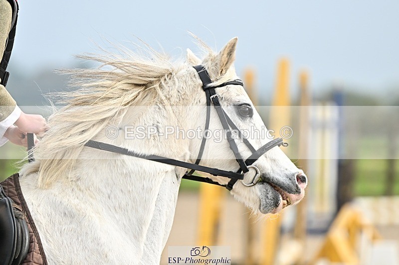 241110-103206-00330 - 40cm Showjumping