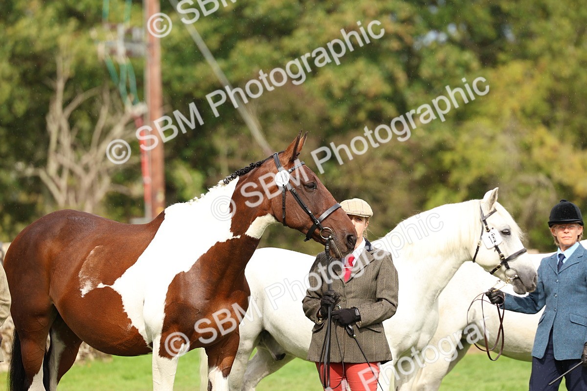 SBM_39318 - S24 - Young Veteran In Hand