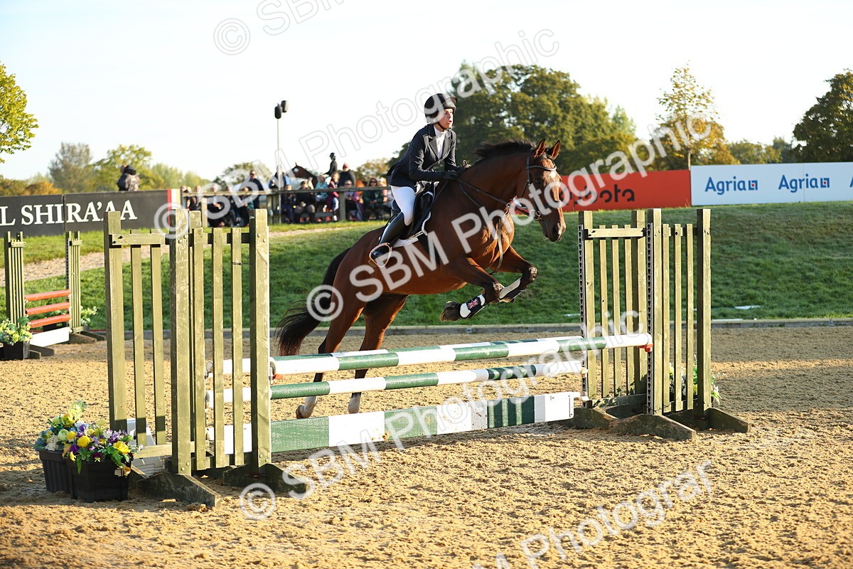 SBM_57676 - J64 - Clear Round 90cm