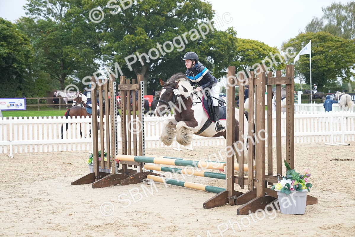 SBM_01796 - J54 - Clear Round 50cm