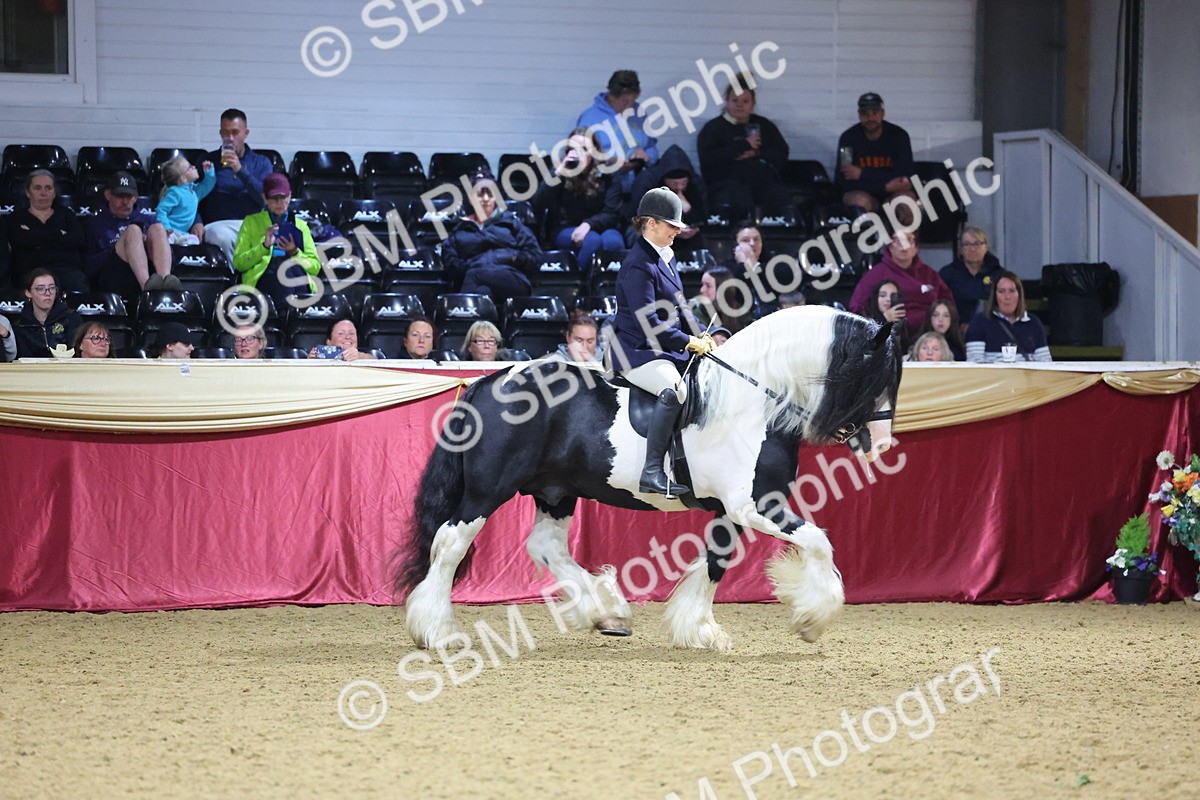 SBM_19200 - Class J Coloured Champ