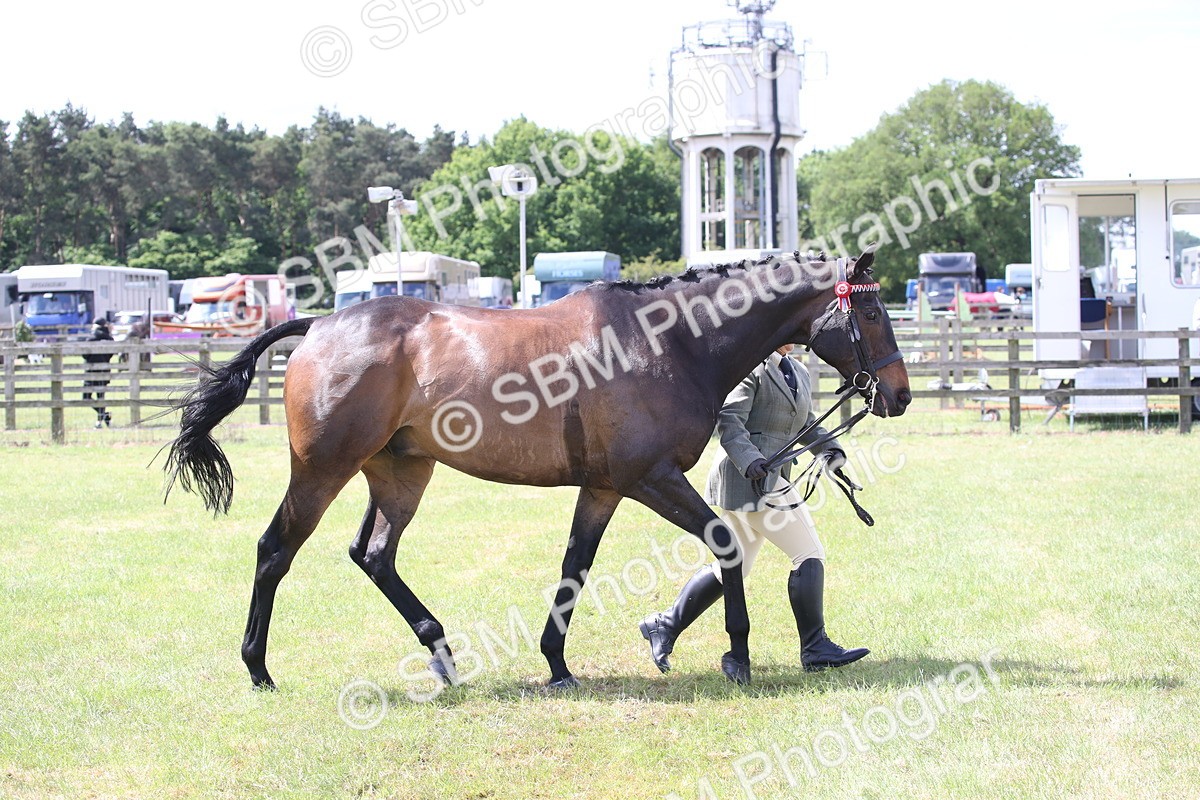 SBM_14225 - Class 113-114 - Retraining of Racehorses Ridden
