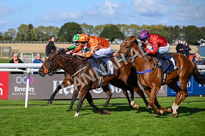 230925-Race 4-Elegant Erin-0685 - Race 4