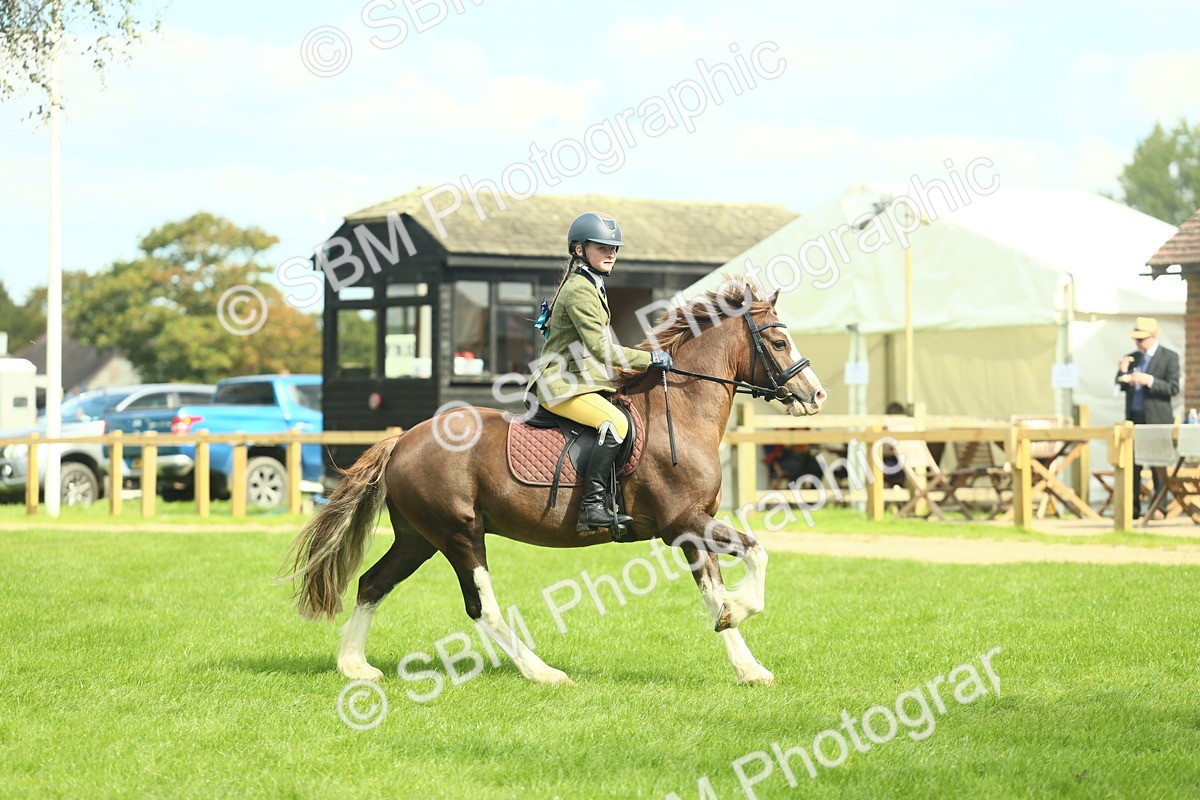 SBM_42835 - S30 - M&M Working hunter Pony