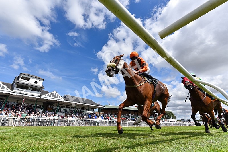 090725-Race 1-Without Delay-6406 - Race 1