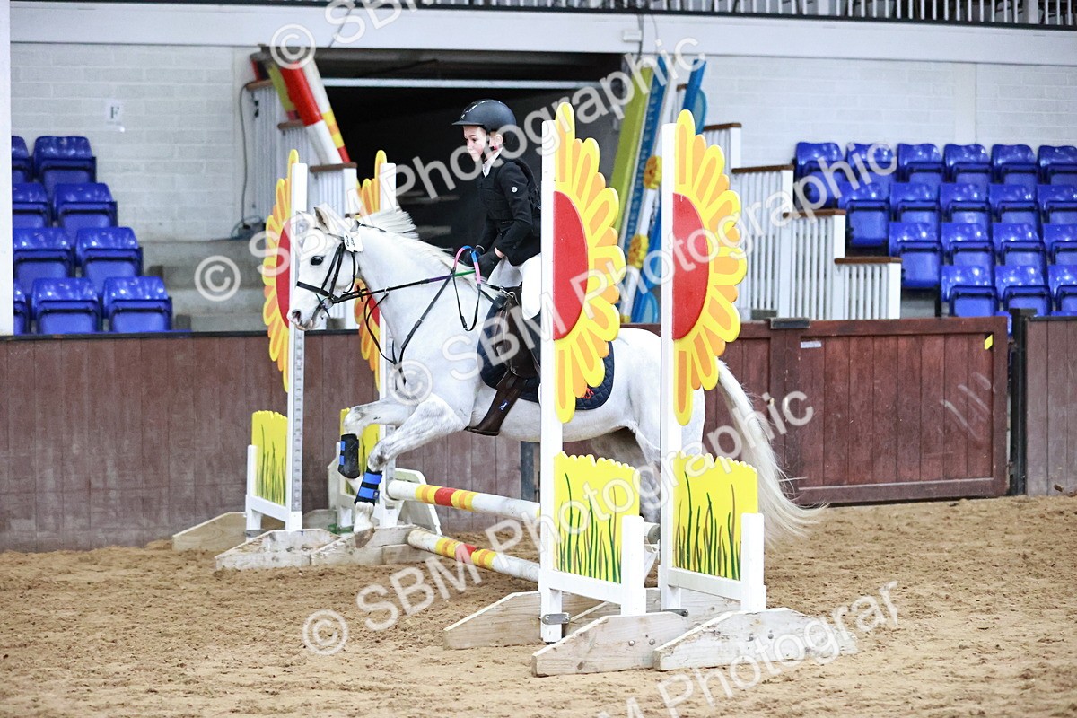 SBM_000501 - Class 2 - Show Jumping 50cm