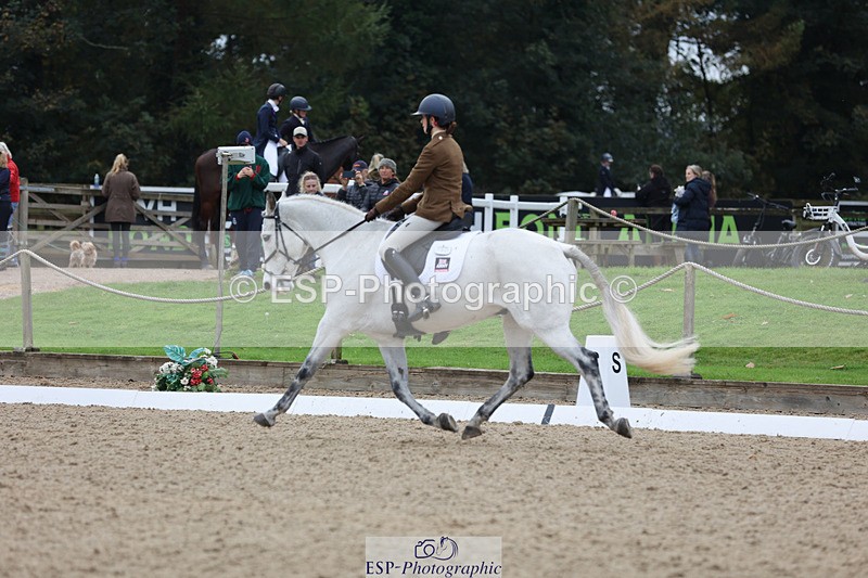 241024-142253-03829 - 162-Charlotte.Keers-WESTERN.OCALA