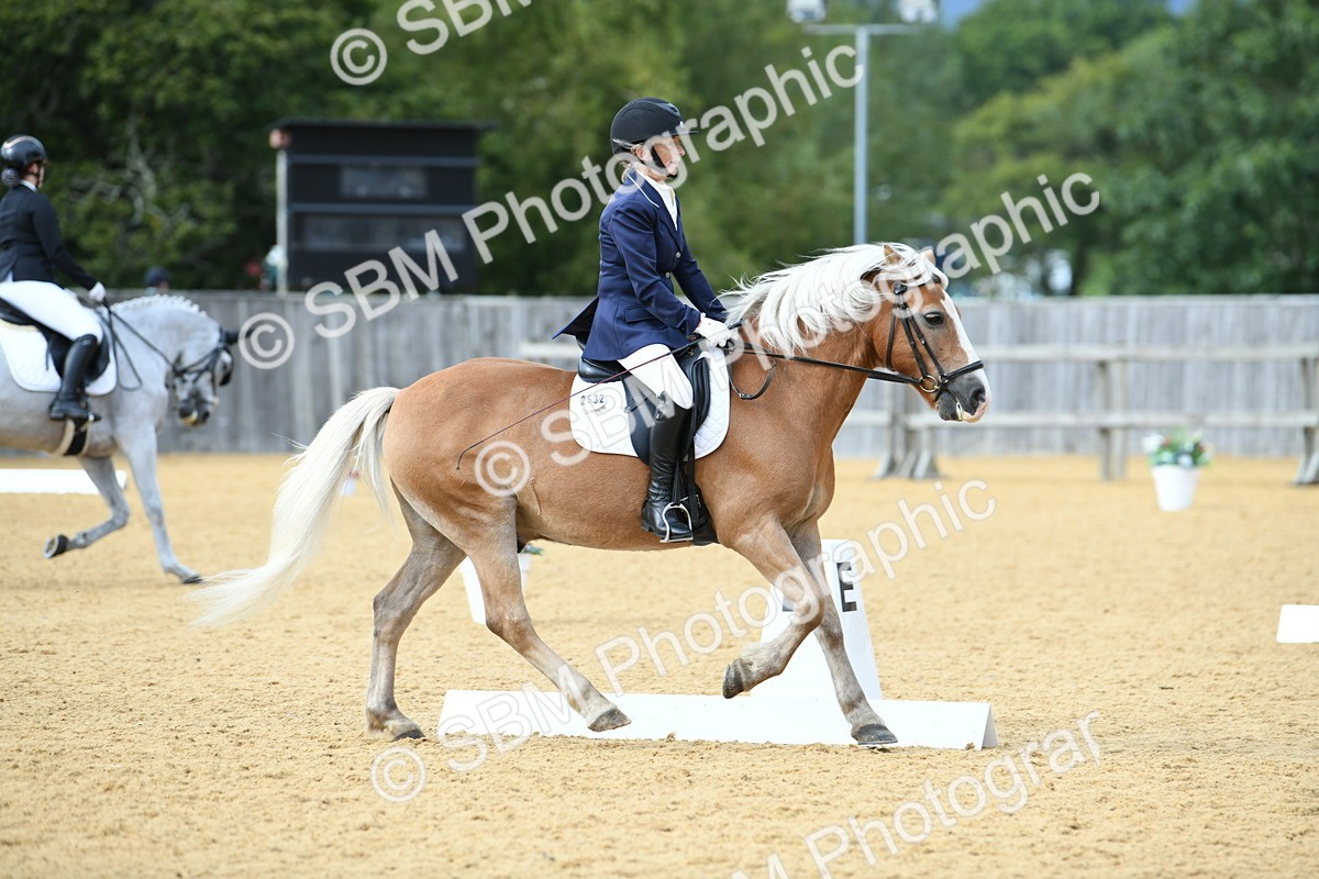 SBM_10907 - D28 Elementary Taster Elementary 42