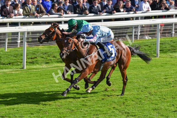 yr08102022r2-37 - Race 2 2.05pm The Coral Rockingham Stakes