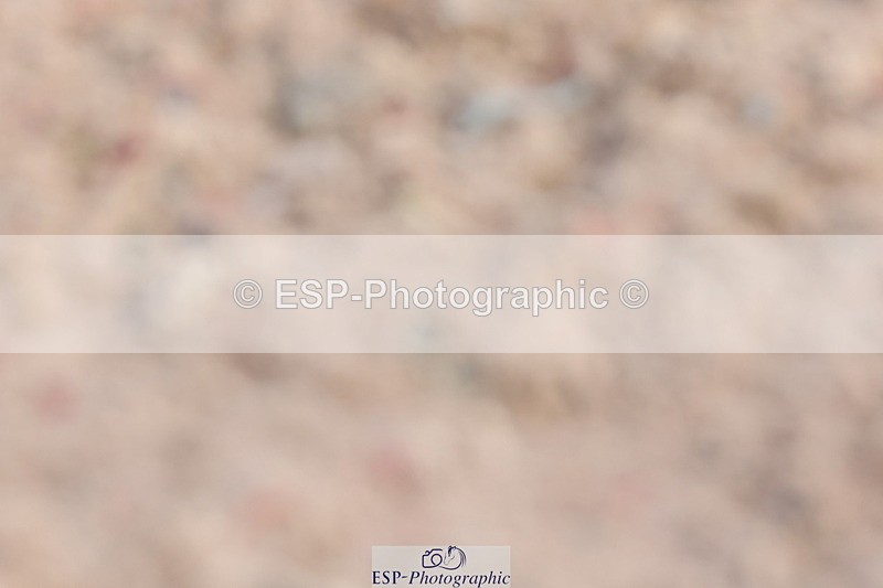 240706A-092538-00204 - Cls 2A Snr Prelim 7 Start to 10 break