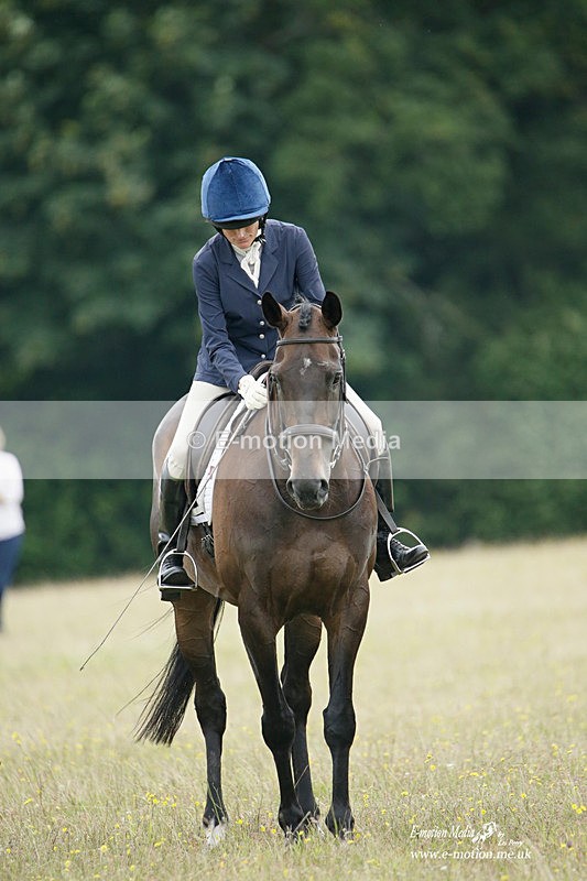 BVRC 030721 190 - Bourne Valley Riding Club Dressage 03/07/21