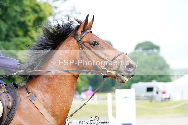 250615A-084420-09702 - Class 42 85cm Amateur Qualifer