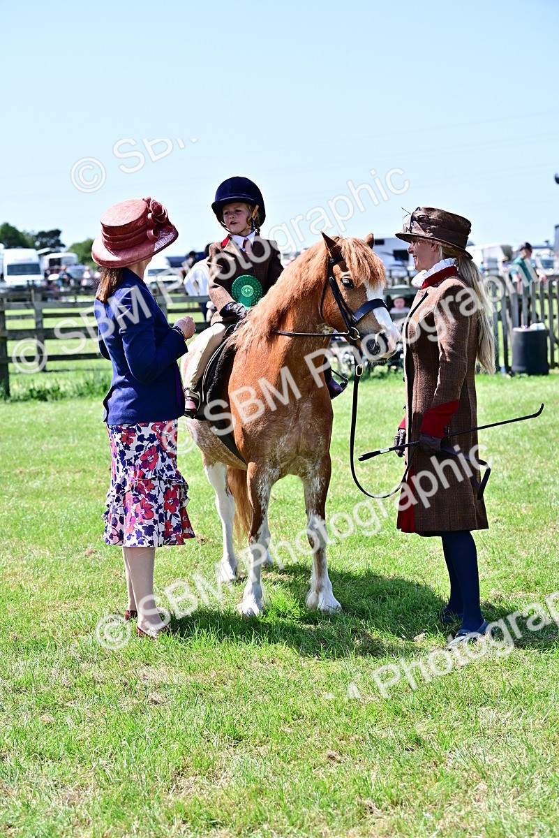 SBM_05964 - Class 59-60 - TSR M&M  Lear Rein and First Ridden Amateur of the year