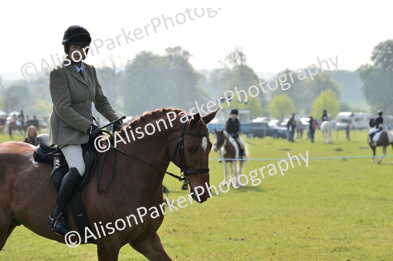 20260426-0899 - Class 18 - Novice Showing