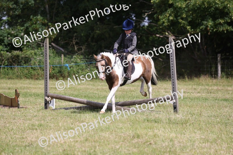 20260614-0685 - Class 20 - Beginners Working Hunter Pony